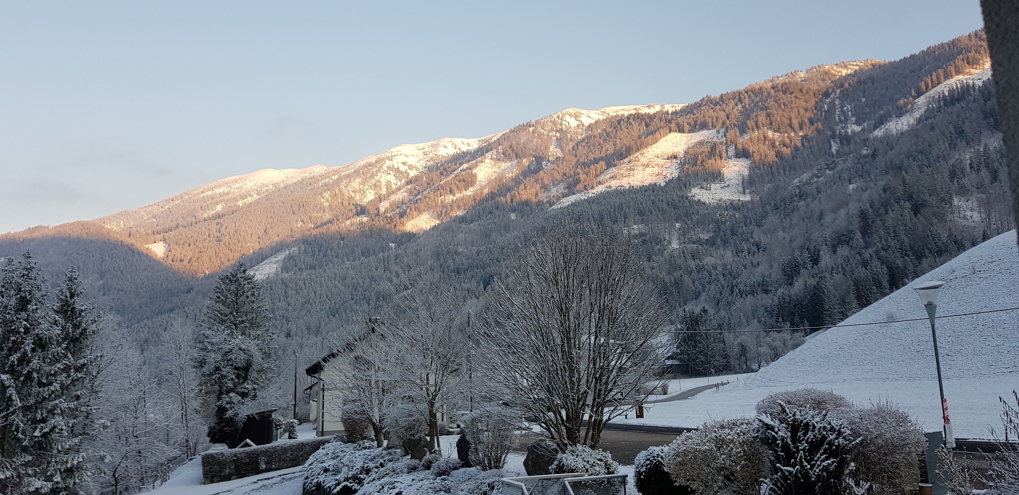 Winter chamois stone