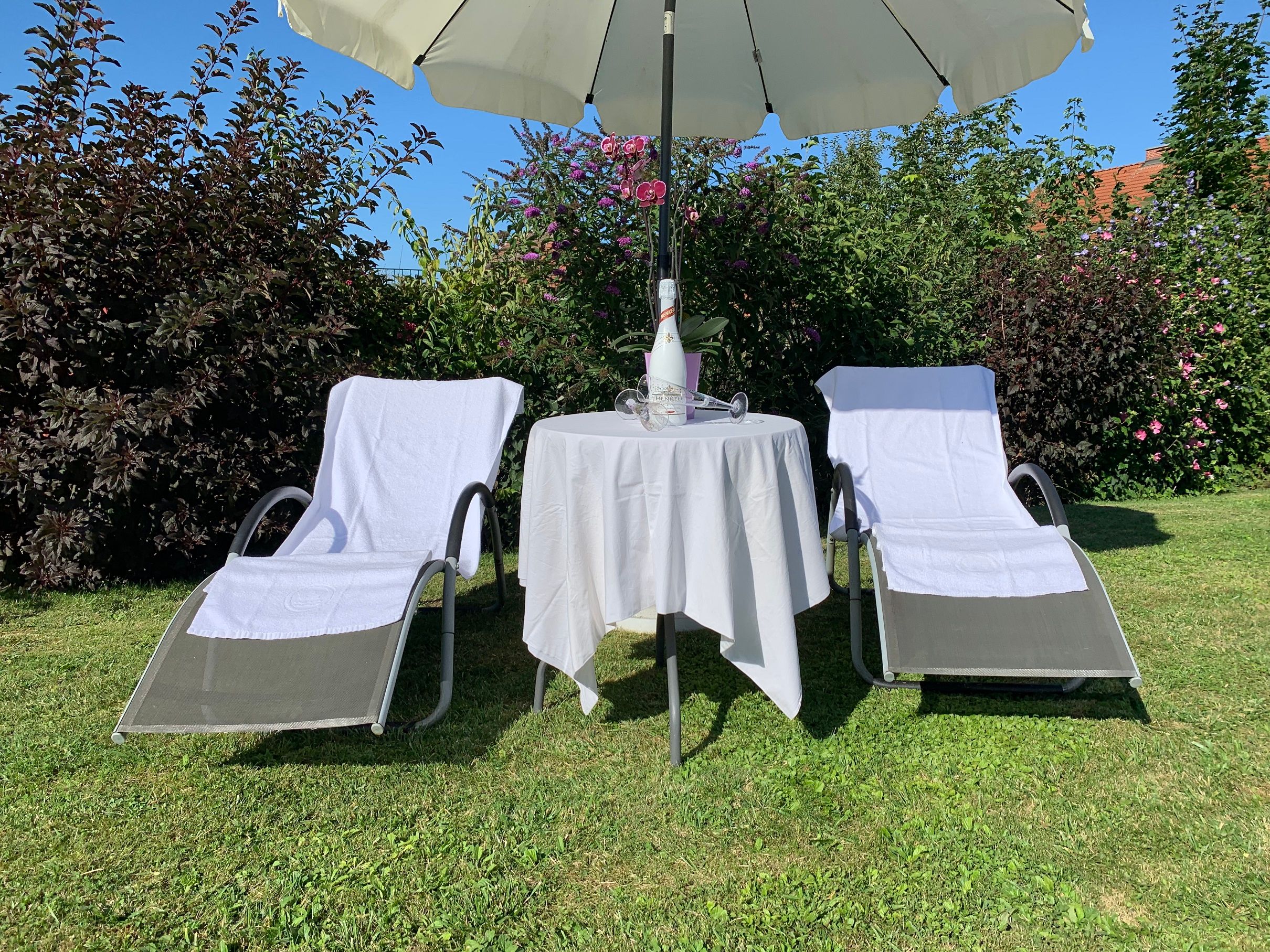 Beautiful garden with seating and sunbathing areas