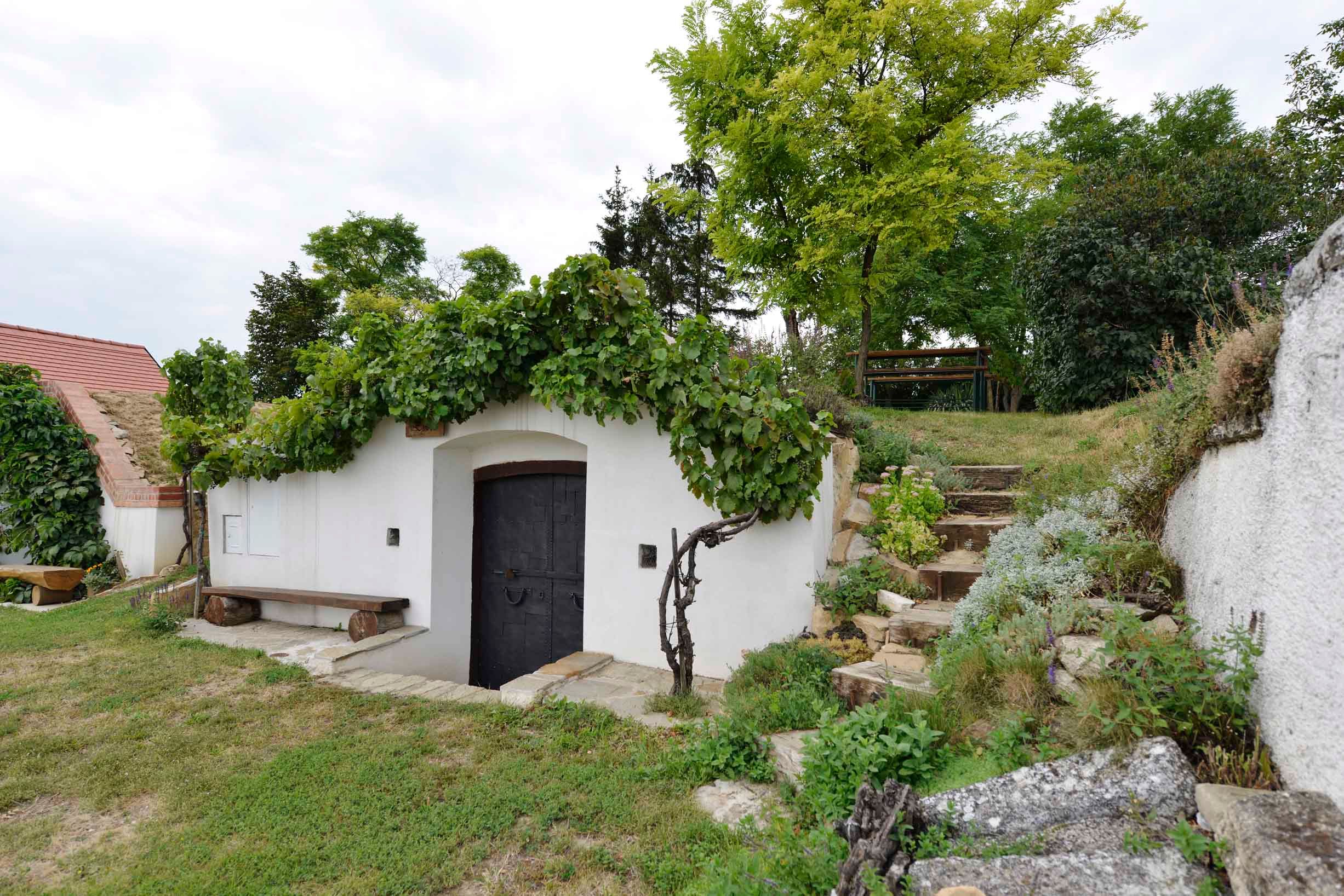 Wine cellar in Prellenkirchen with green roof and stone steps.