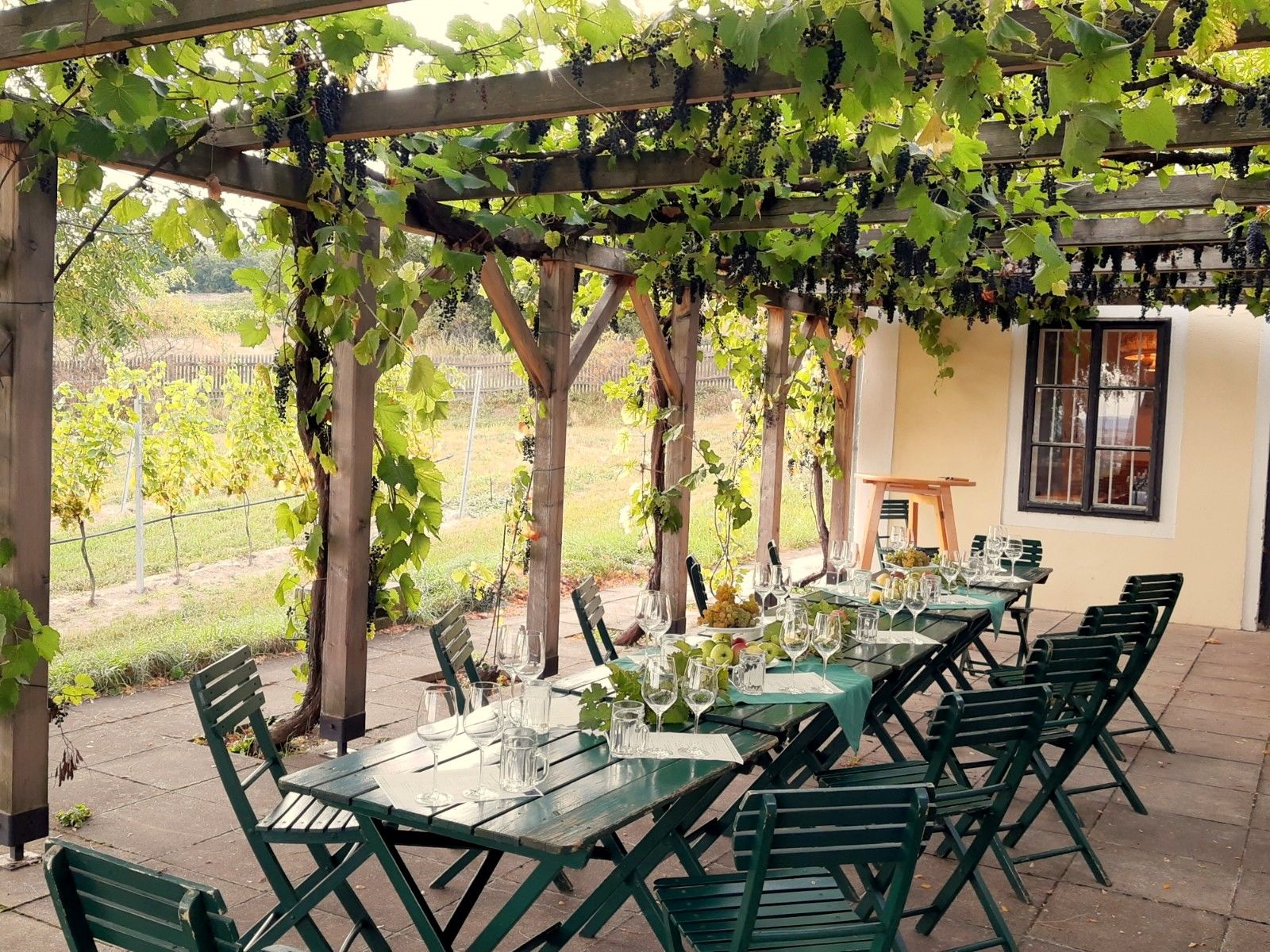Table set under a pergola with vines.
