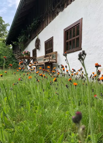 Cottage at the Gföhlerwald
