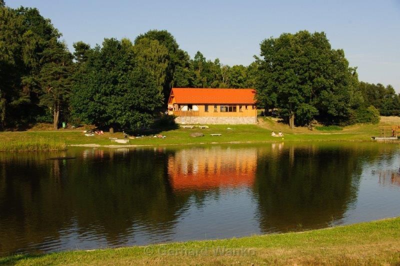 Duck pond