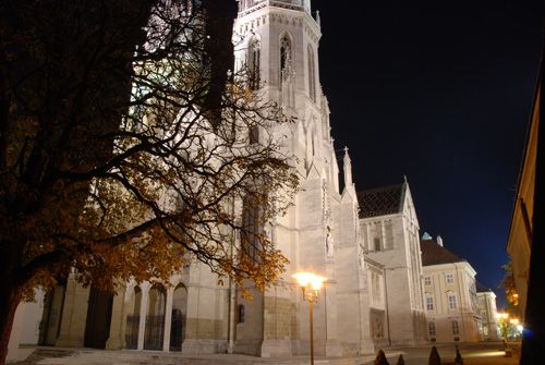 Pen at night