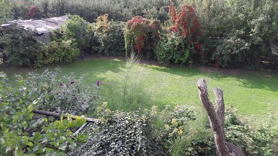 Garden of Mr. Paul Seel