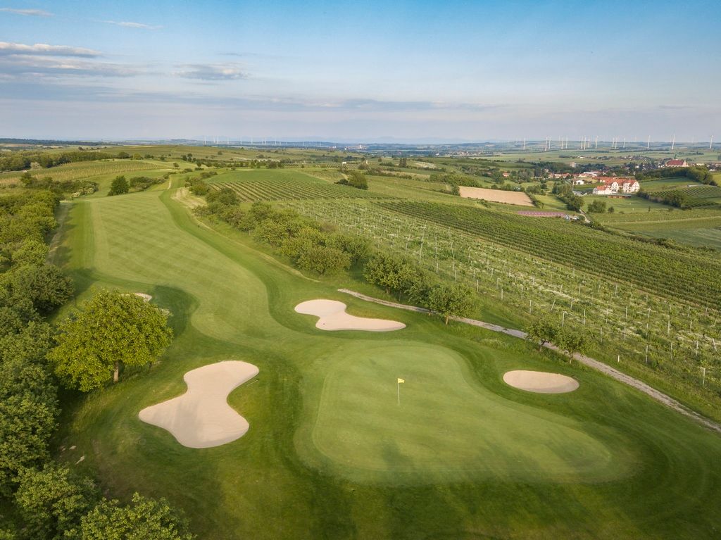 Aerial view of a golf course with sand bunkers and surrounding vineyards.