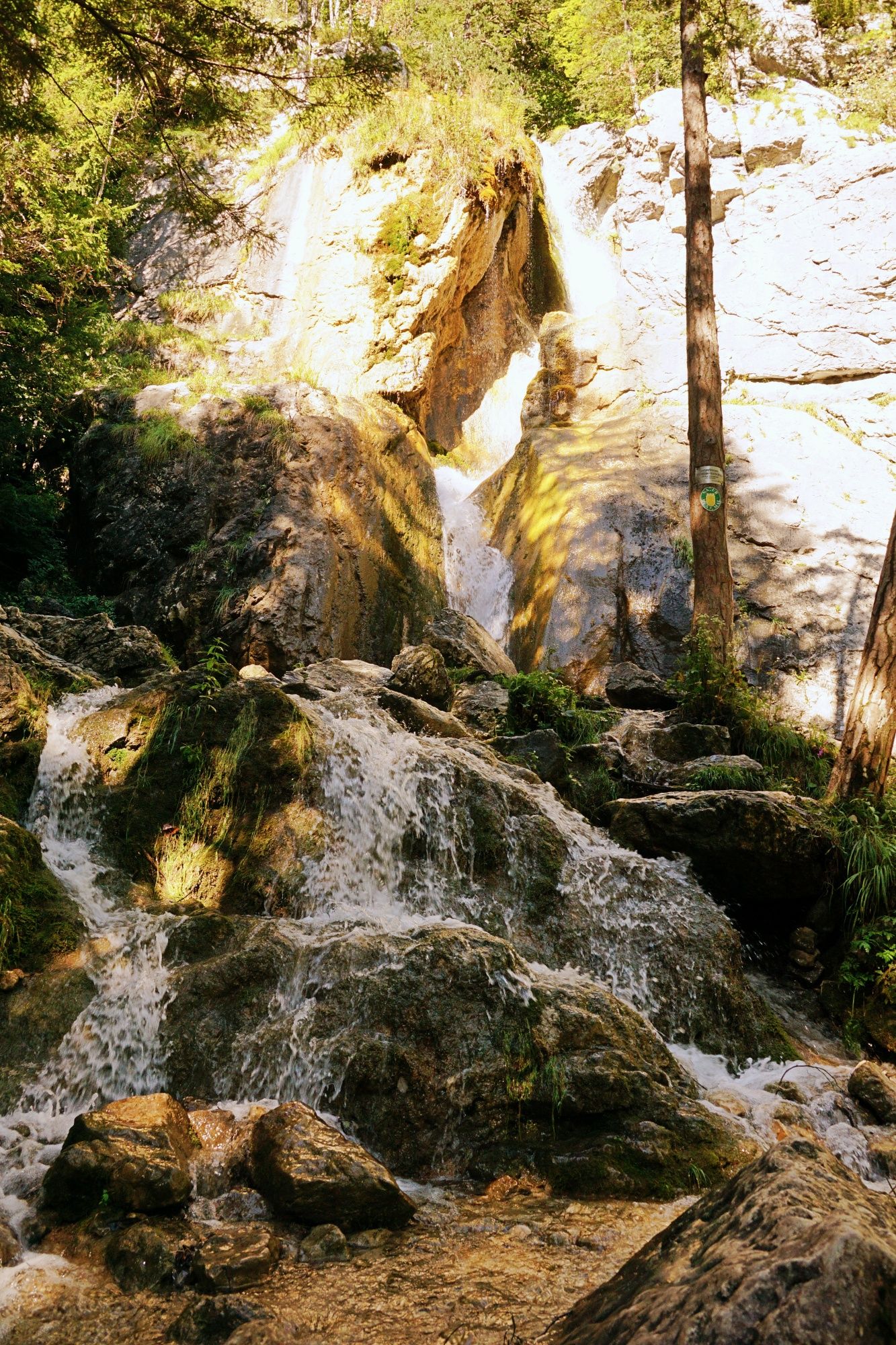 A waterfall flows over rocks in a wooded area.