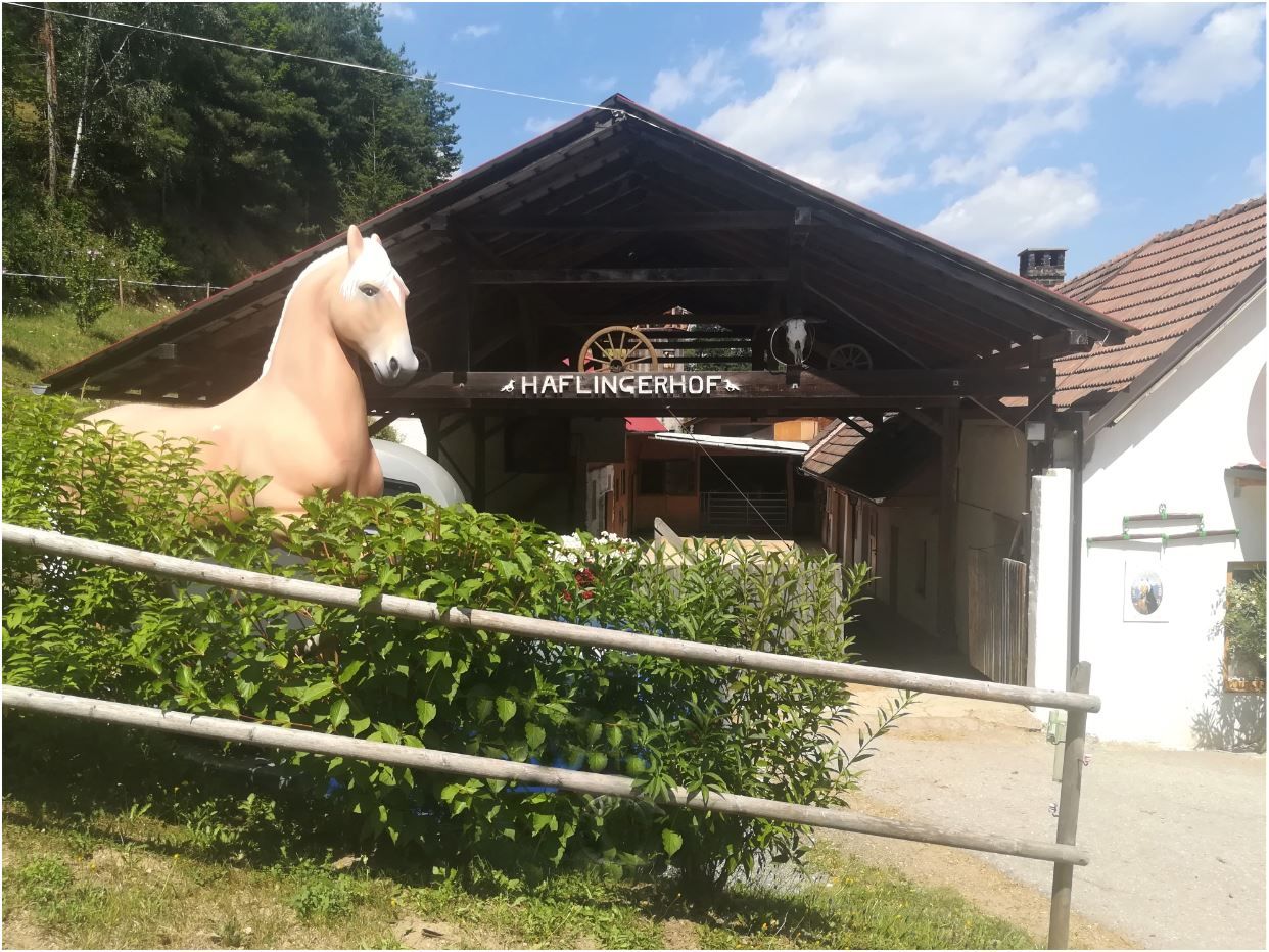 Entrance to the Haflingerhof with horse statue and wooden roof.