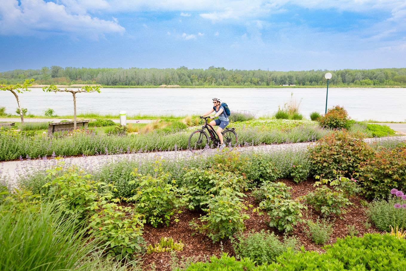 A person is cycling along a flowering path on the banks of the Danube in Tulln.