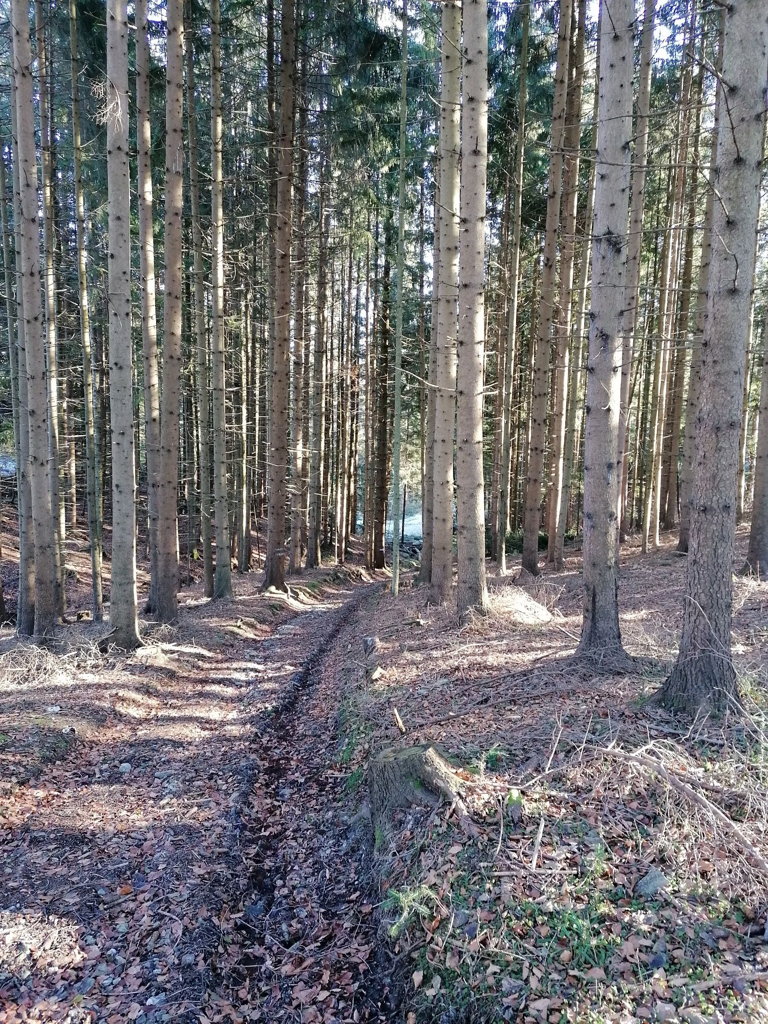 Hollow path towards the Pass Chapel