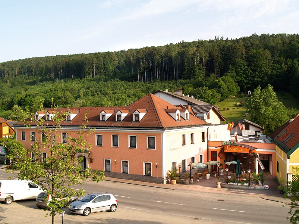 Exterior view of a hotel with terrace and surrounding forest.