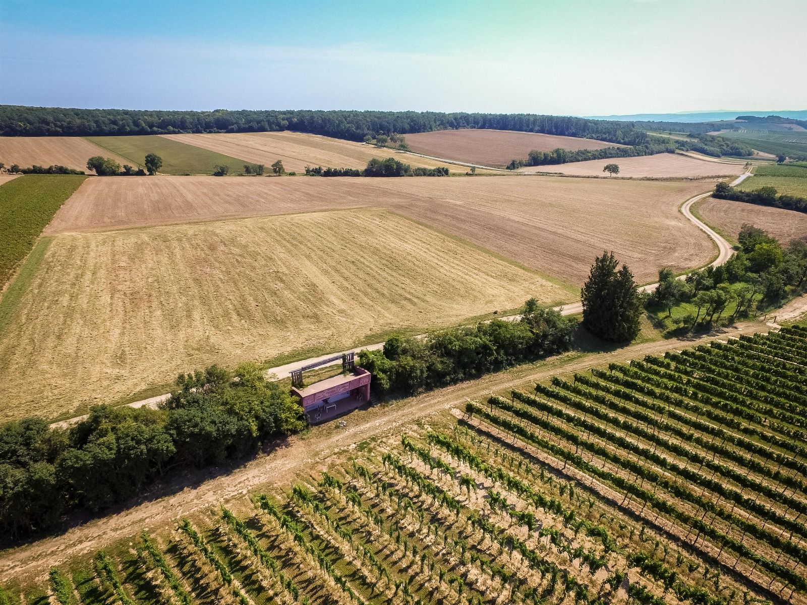 Aerial view of fields and vineyards in Wullersdorf, Austria.
