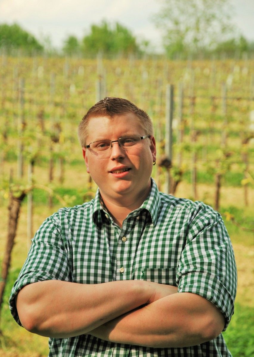 A man with glasses and a checked shirt stands with his arms folded in front of a vineyard.
