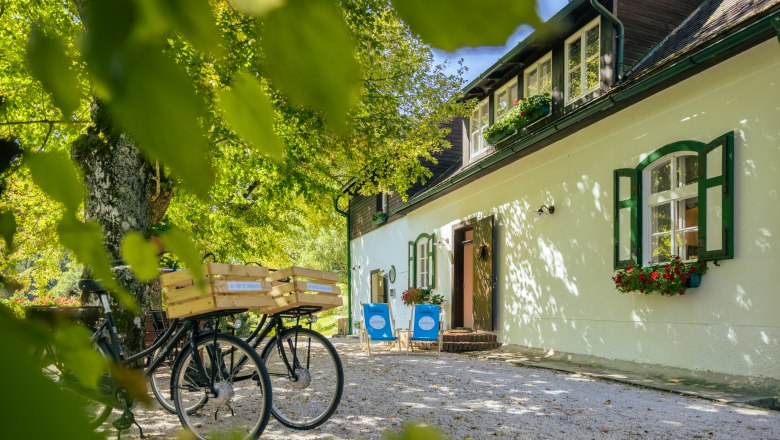 An idyllic country house with green shutters, bicycles and sun loungers in the garden, surrounded by trees.