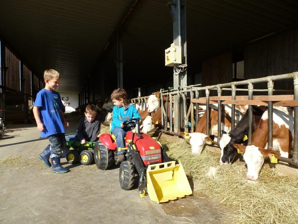 Children play in the barn with toy tractors next to cows.