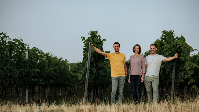 Three people are standing in a vineyard among the vines.