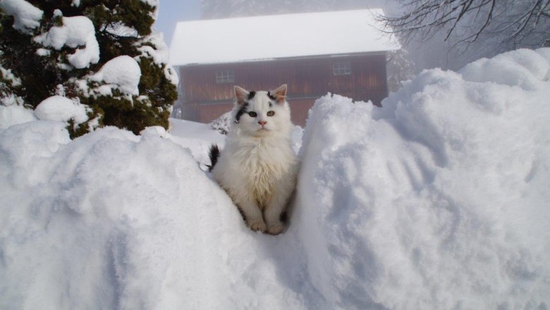 Winter in Zwickelreith, © Familie Roseneder
