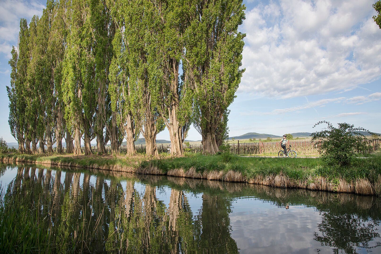Entlang des ruhigen Kanals erstrecken sich majestätische Pappeln, die im sanften Wind wiegen. Radfahrer genießen die malerische Landschaft, während die Sonne die Umgebung in warmes Licht taucht. Hier wird der Sommer zu einem unvergesslichen Erlebnis voller Genuss und Erholung.