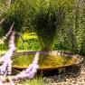 Garden with small fountain and lavender in the foreground.