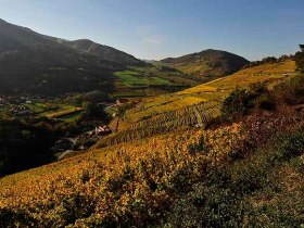 Spitzer Graben mit Blick Richtung M&uuml;hldorf und Berg Trenning, &copy; Graben Gritsch/Petr Blaha