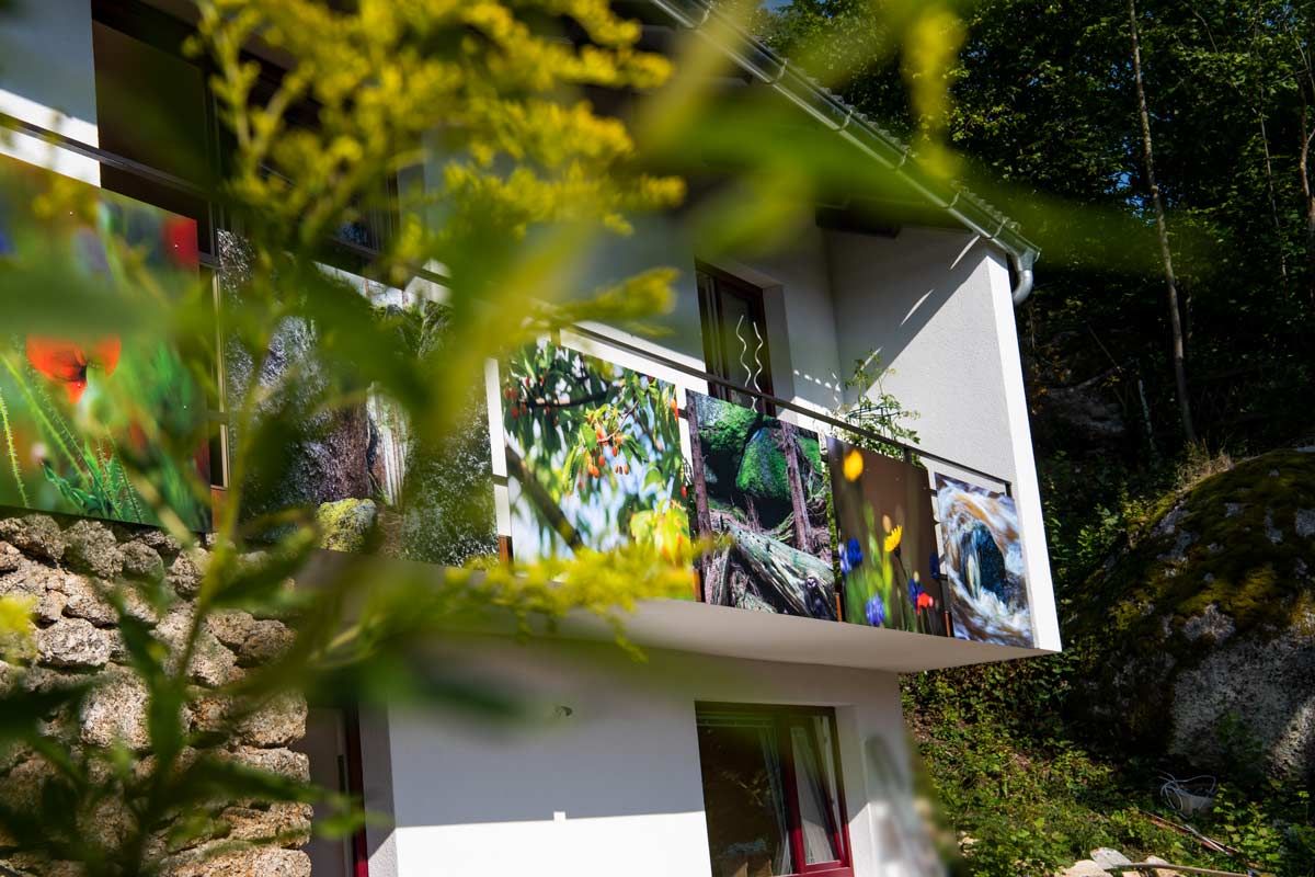 A house with a balcony, decorated with colorful pictures of nature, surrounded by green vegetation.