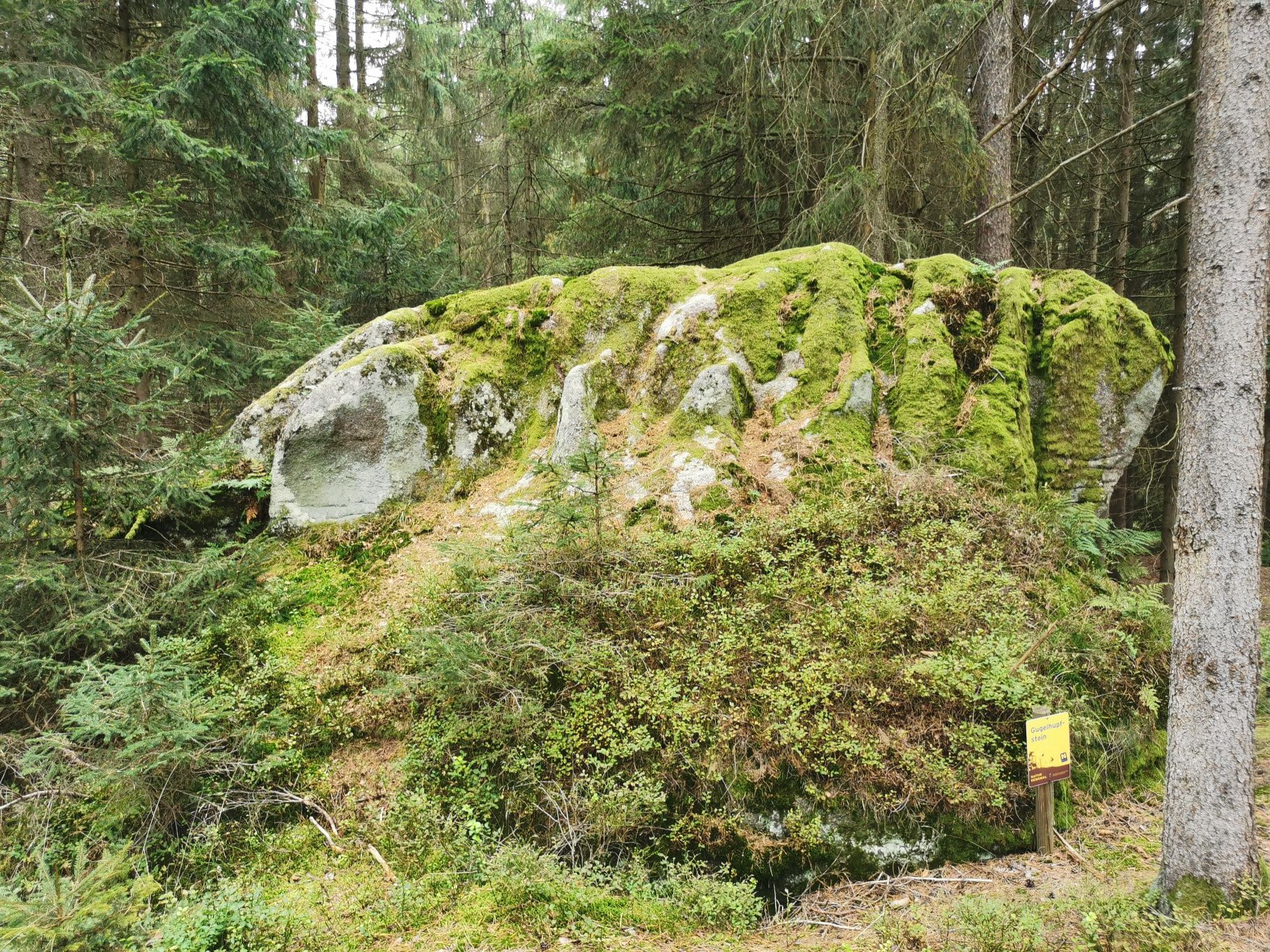 Gugelhupfstein near Eberweis