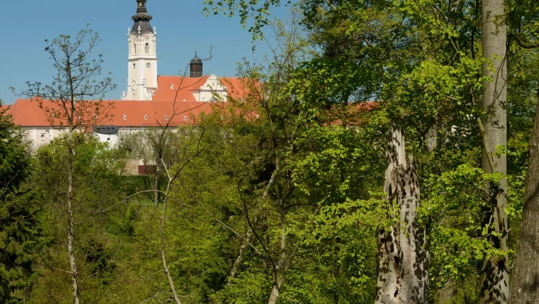 View of a monastery building with tower behind trees in Altenburg Abbey Forest.
