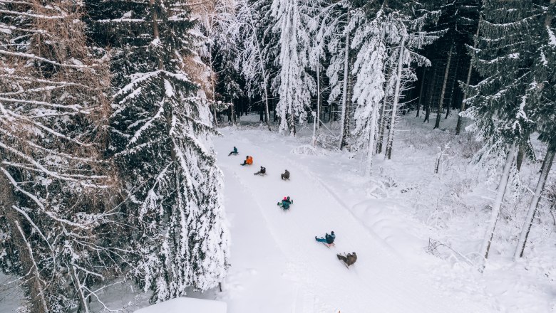 People tobogganing on a snow-covered forest track.