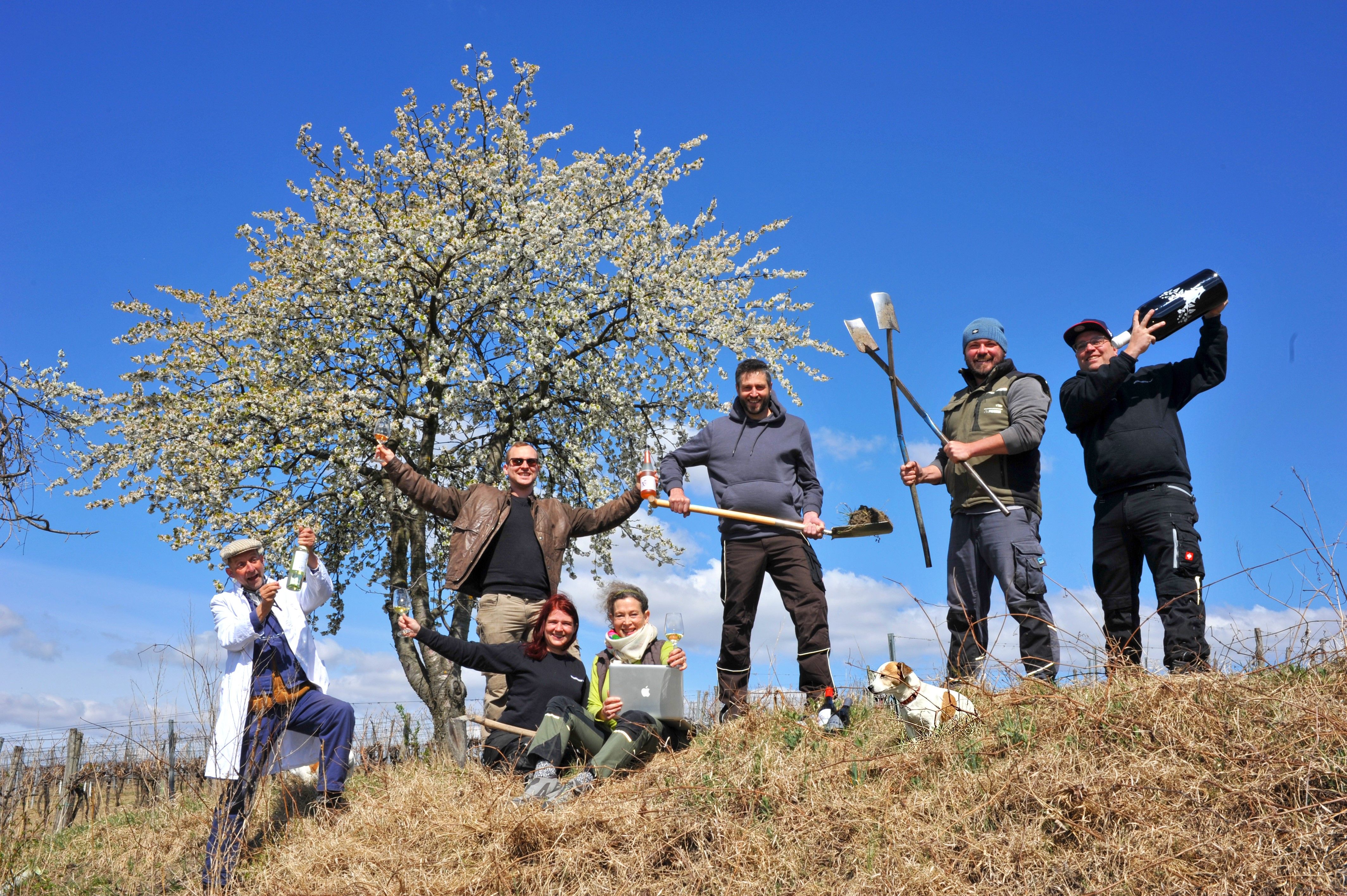 Group of people with tools and drinks in front of a blossoming tree outdoors.