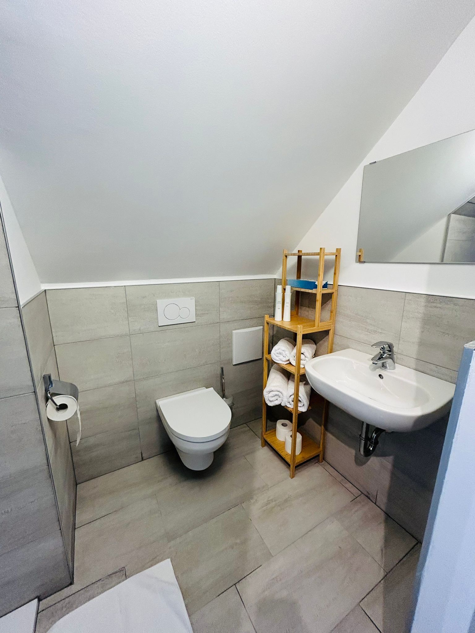 Bathroom with WC, washbasin and shower.