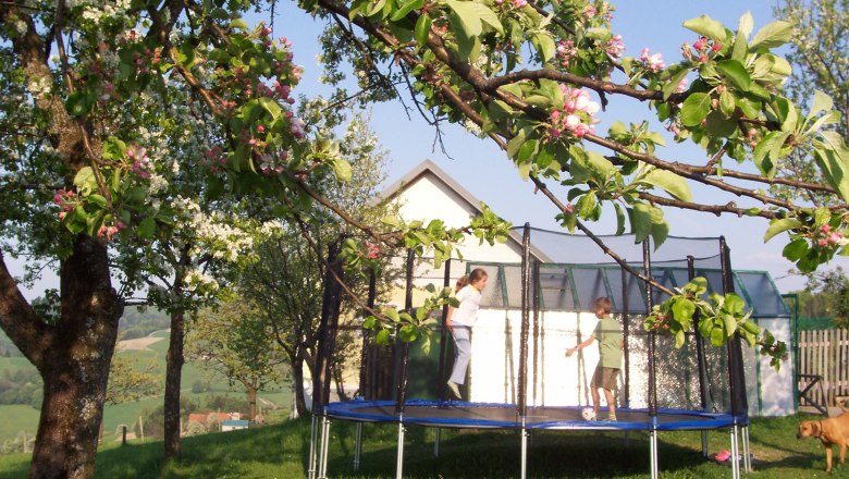 Bounce with your friends on the huge trampoline!, © Bauernhof Oberschönbichl