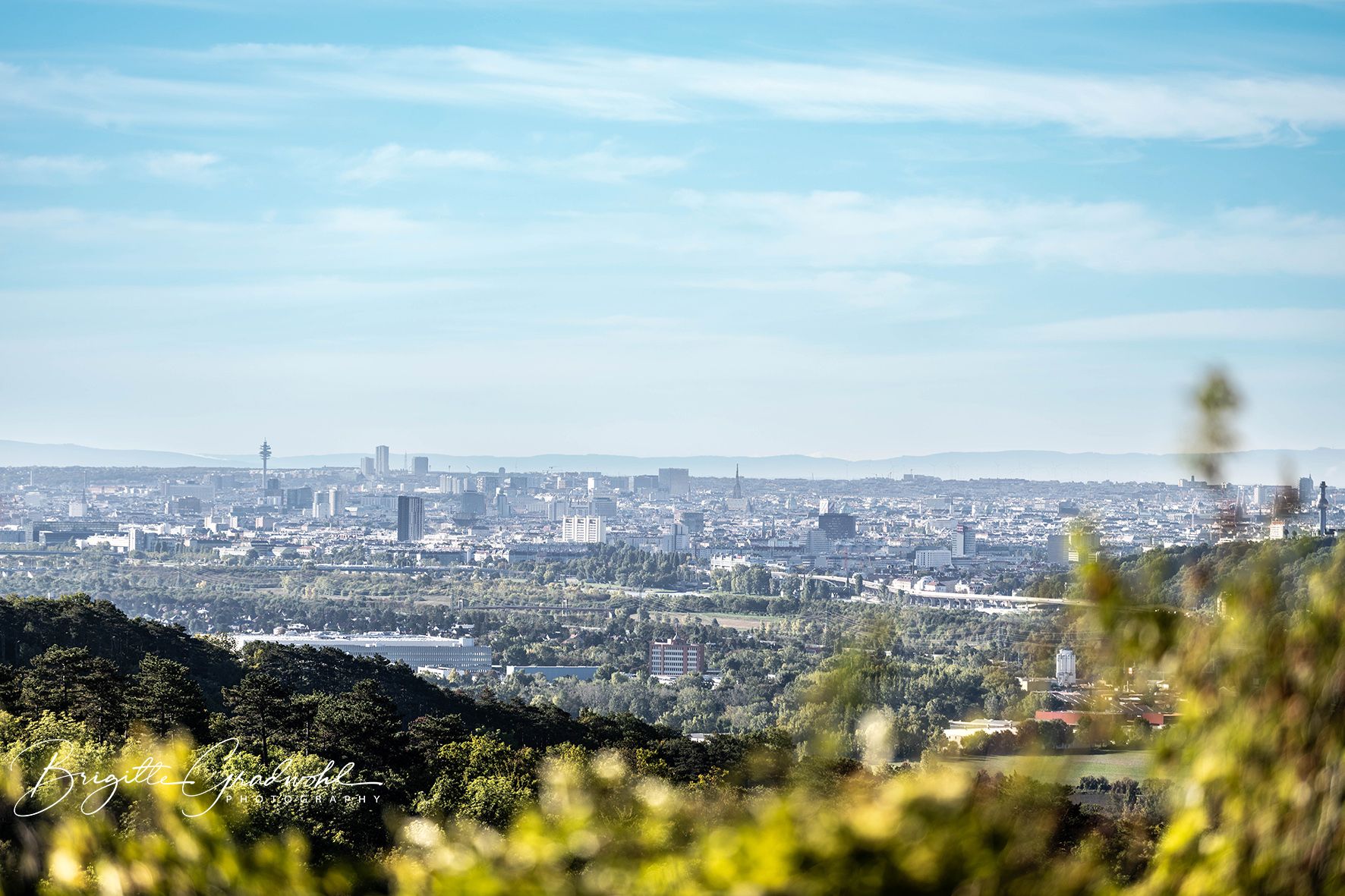 Panoramic view of a city with many buildings and a television tower in the background, surrounded by green hills and trees in the foreground.