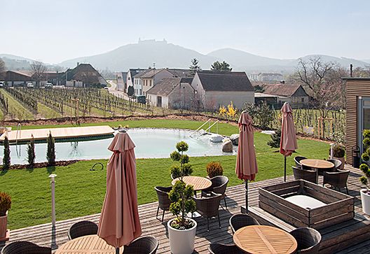 Terrace with pool, parasols and views of vineyards and hills.