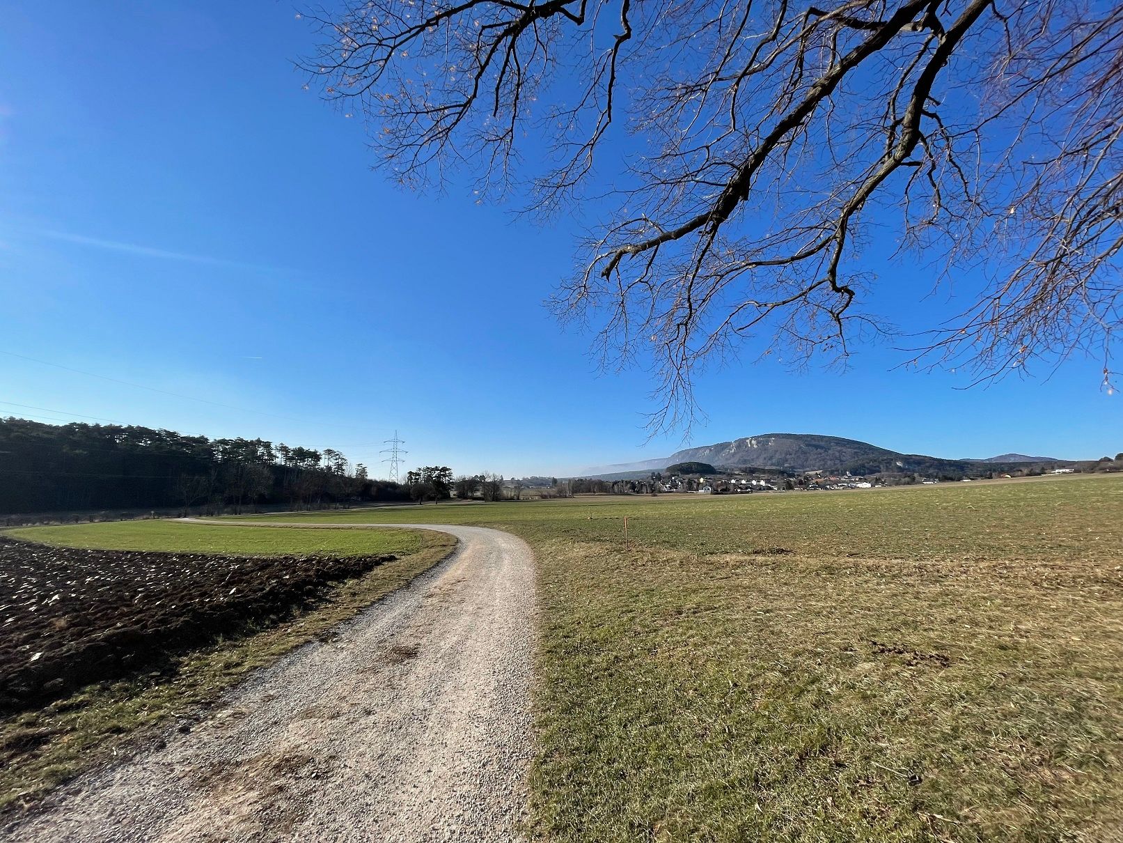 Landscape with dirt road, meadow and mountain in the background.