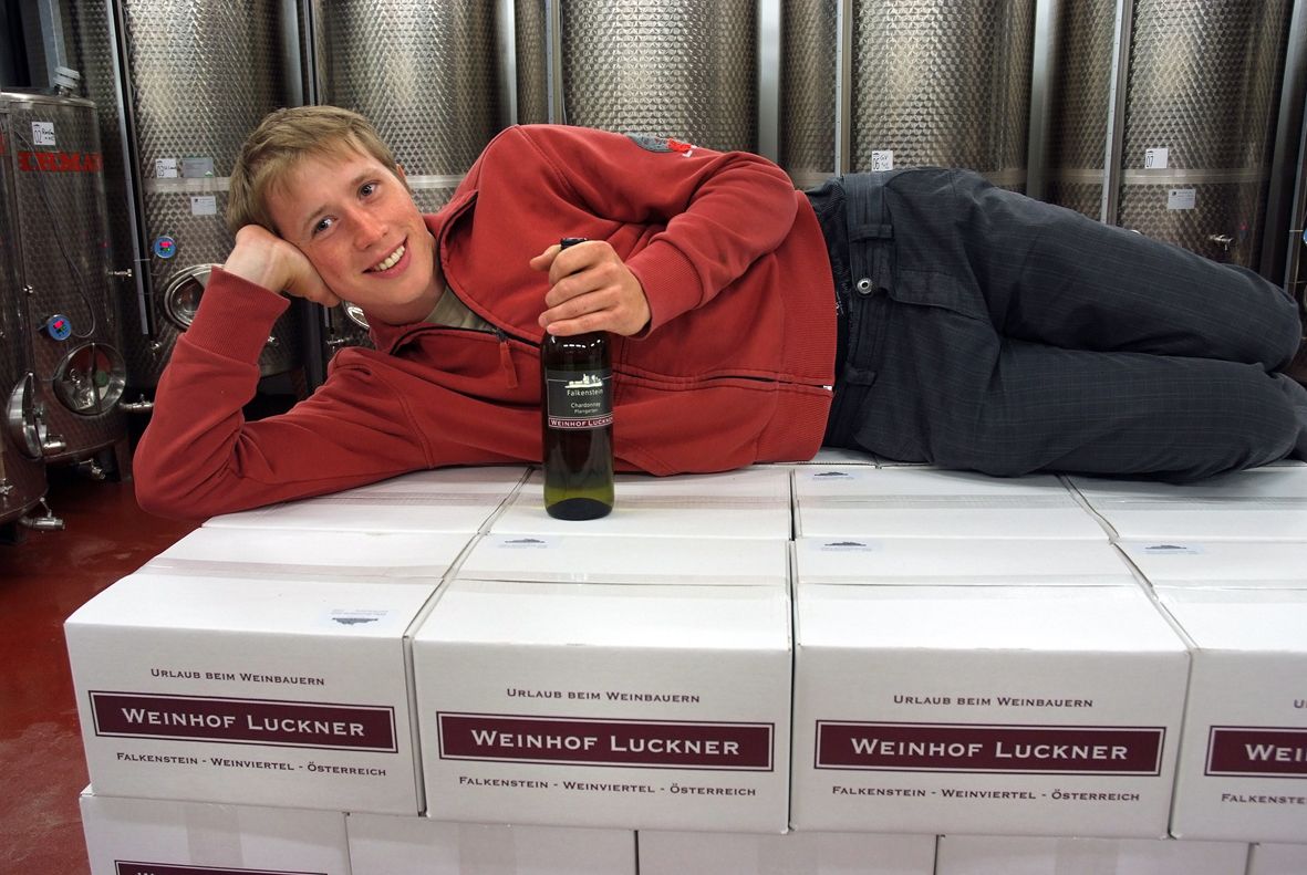 Person lying on wine cartons in the wine cellar, holding a wine bottle.