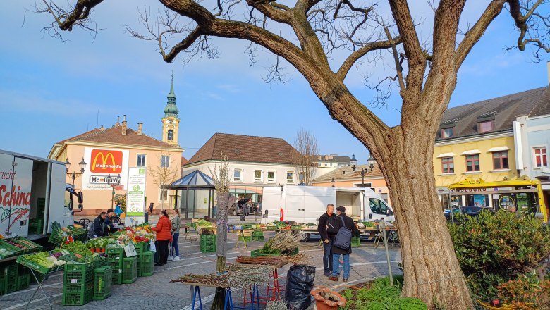 Weekly market in Stockerau with stalls, a large tree and buildings in the background.