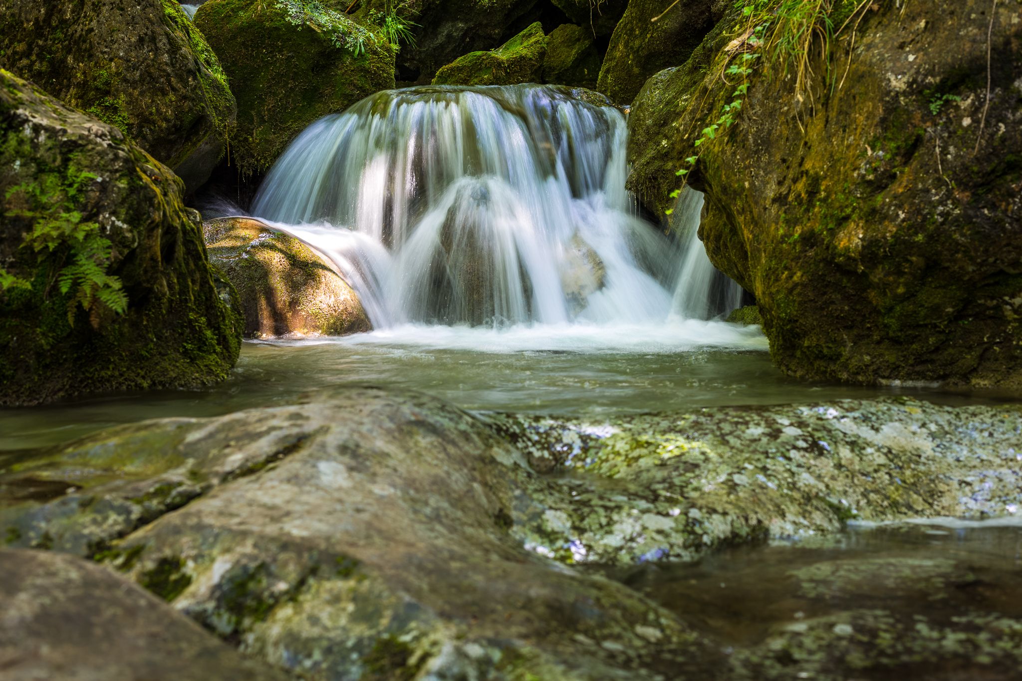 A small waterfall flows over moss-covered rocks in a wooded area.