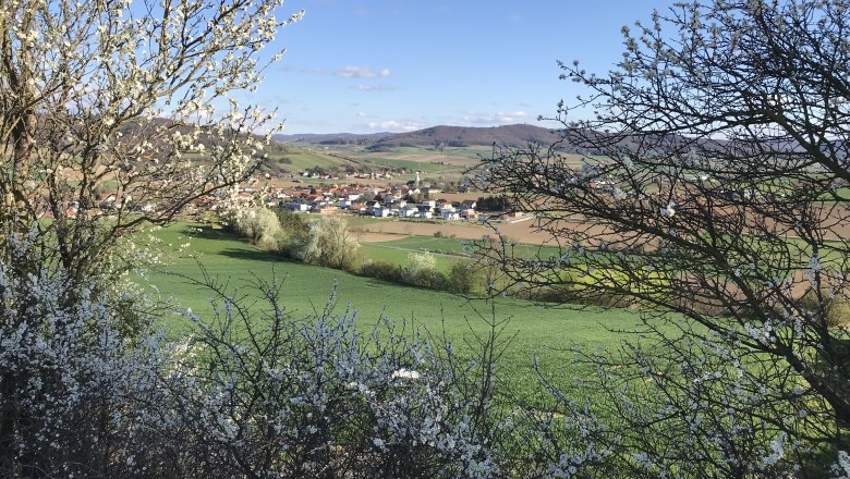 View of Asperhofen.3, © Gemeinde Asperhofen