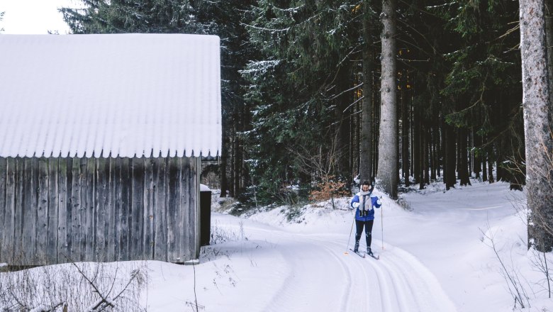 Person cross-country skiing in the snowy forest next to a wooden hut.