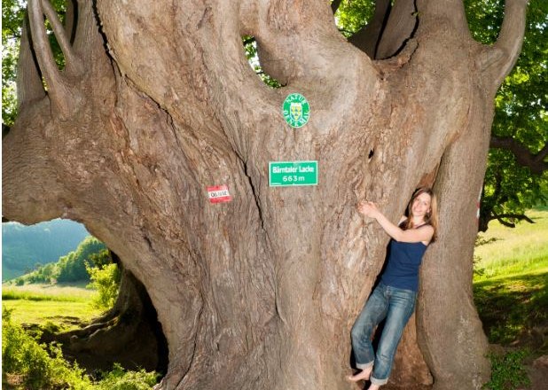 B&auml;rntal-Lacke natural monument, &copy; www.extremfotos.com