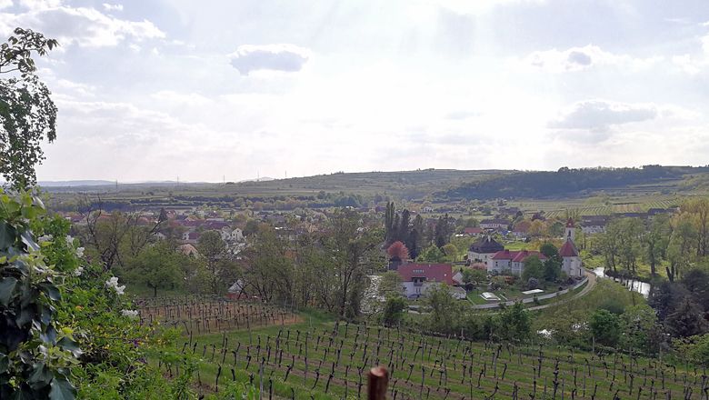 View of Zöbing with vineyards and church in the foreground.