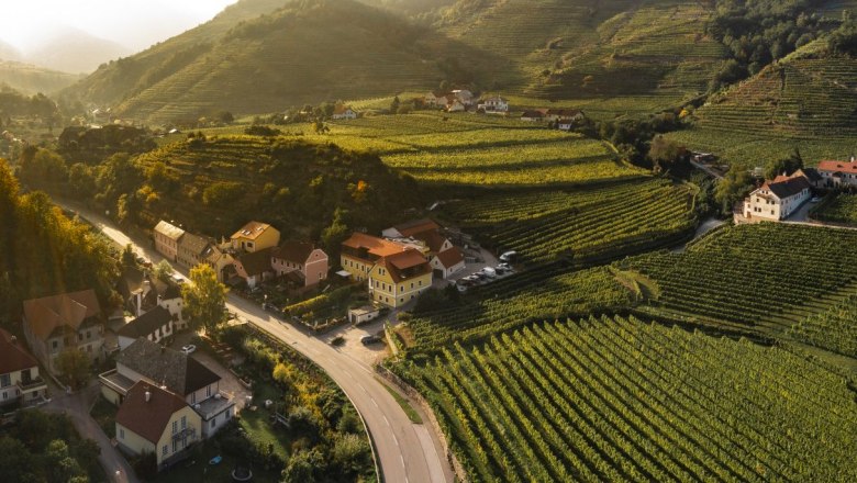 Aerial view of a rural landscape with vineyards and houses at sunset.