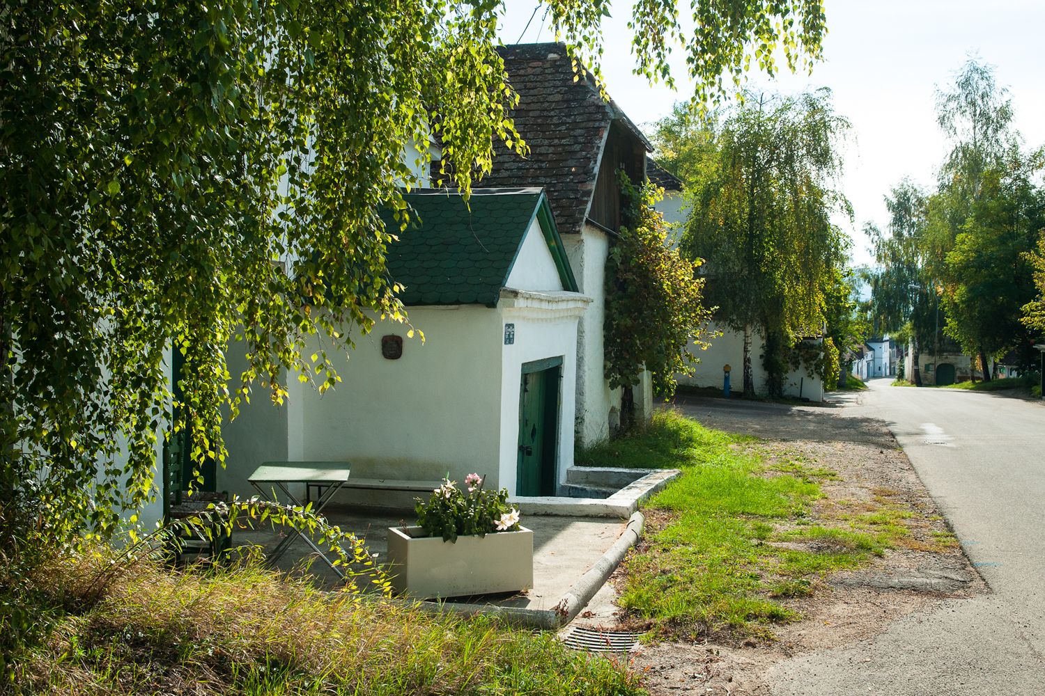 A quiet wine cellar lane with white buildings and green doors, surrounded by trees and plants.