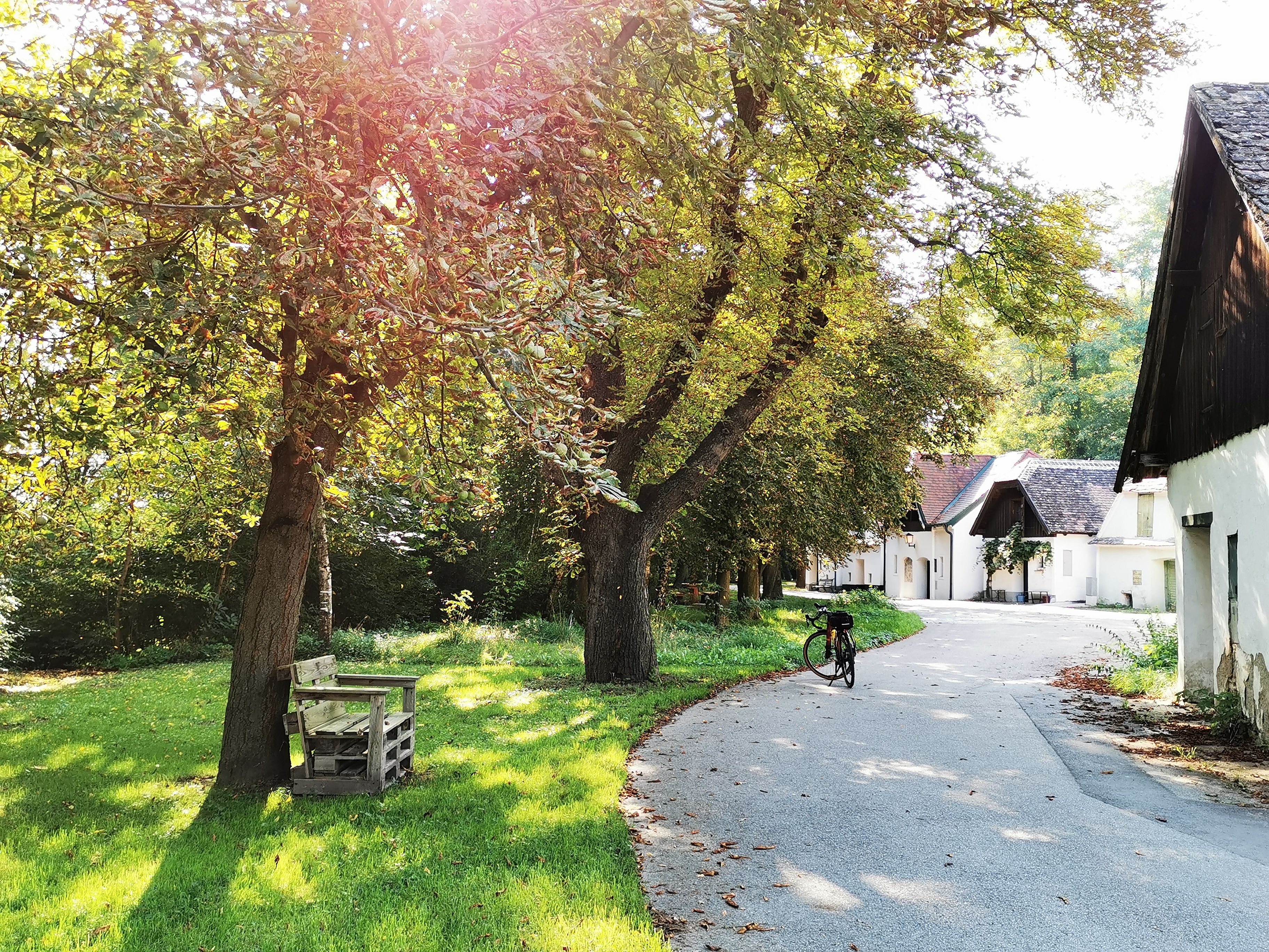 An idyllic path with trees and white houses, a bicycle on the side of the road.