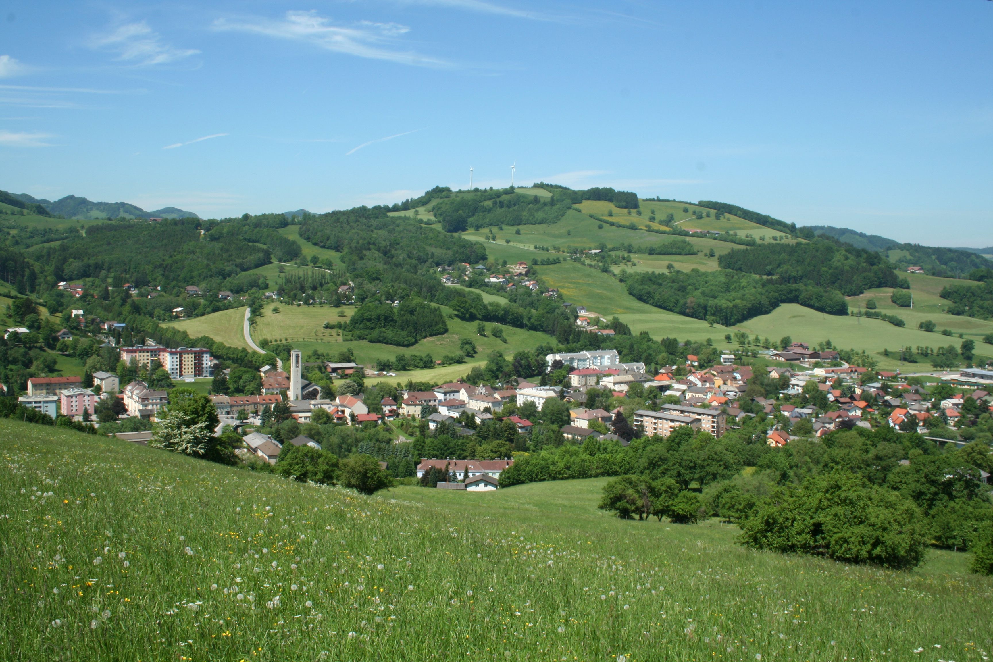Panoramic view of the market town of Traisen with green hills and wind turbines in the background.