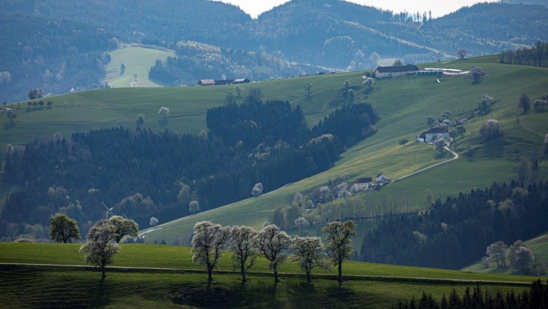Photo point Mostviertel, © schwarz-koenig.at