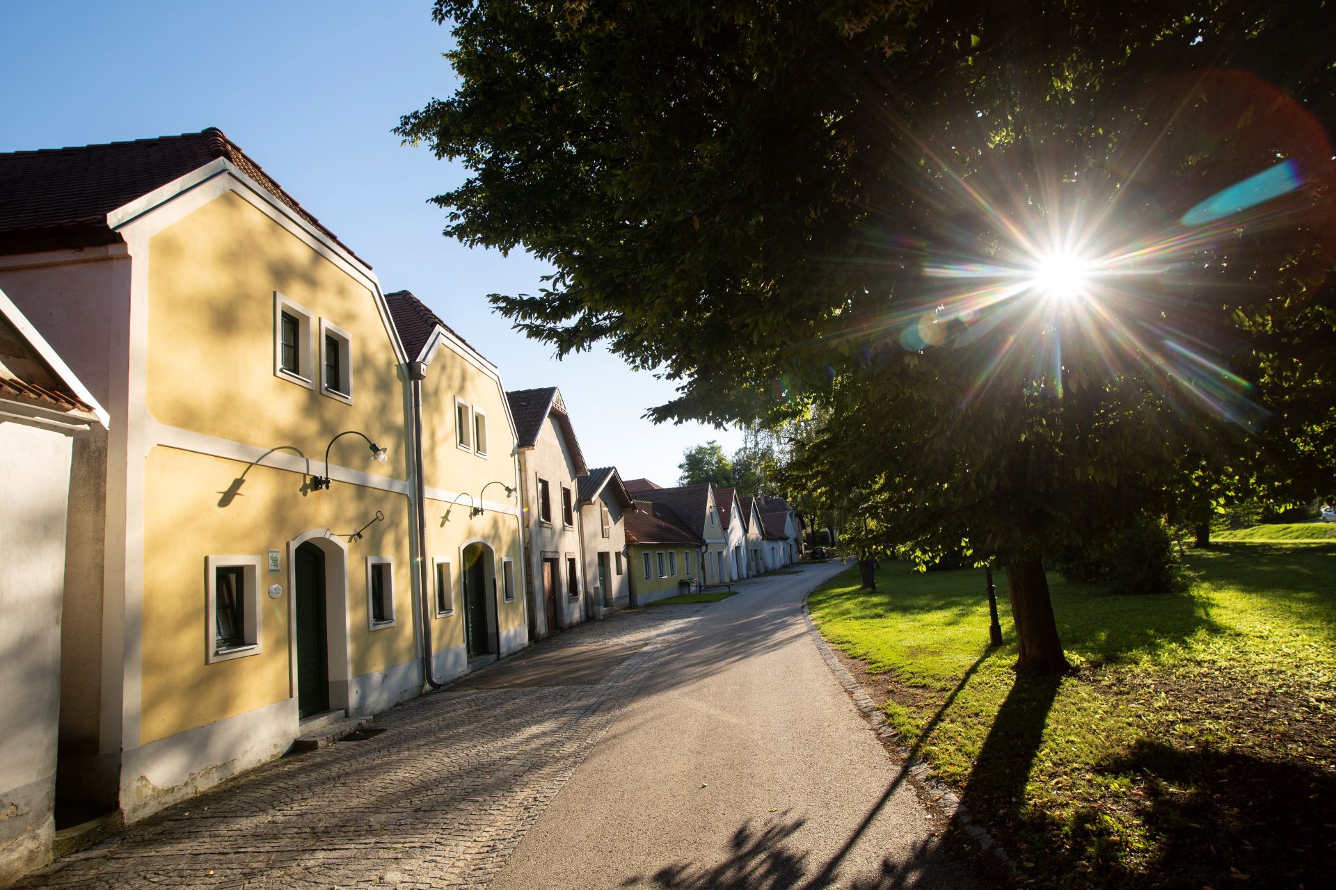 Wine cellar lane in Nappersdorf with yellow houses and sunshine through trees.