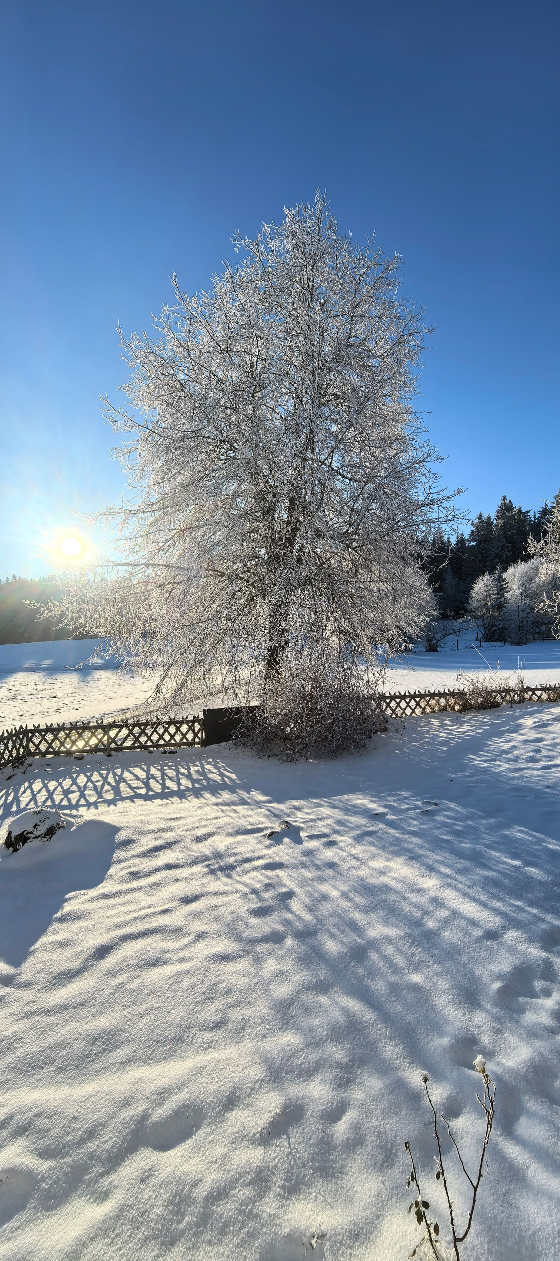 The magical world in Langschlag 22