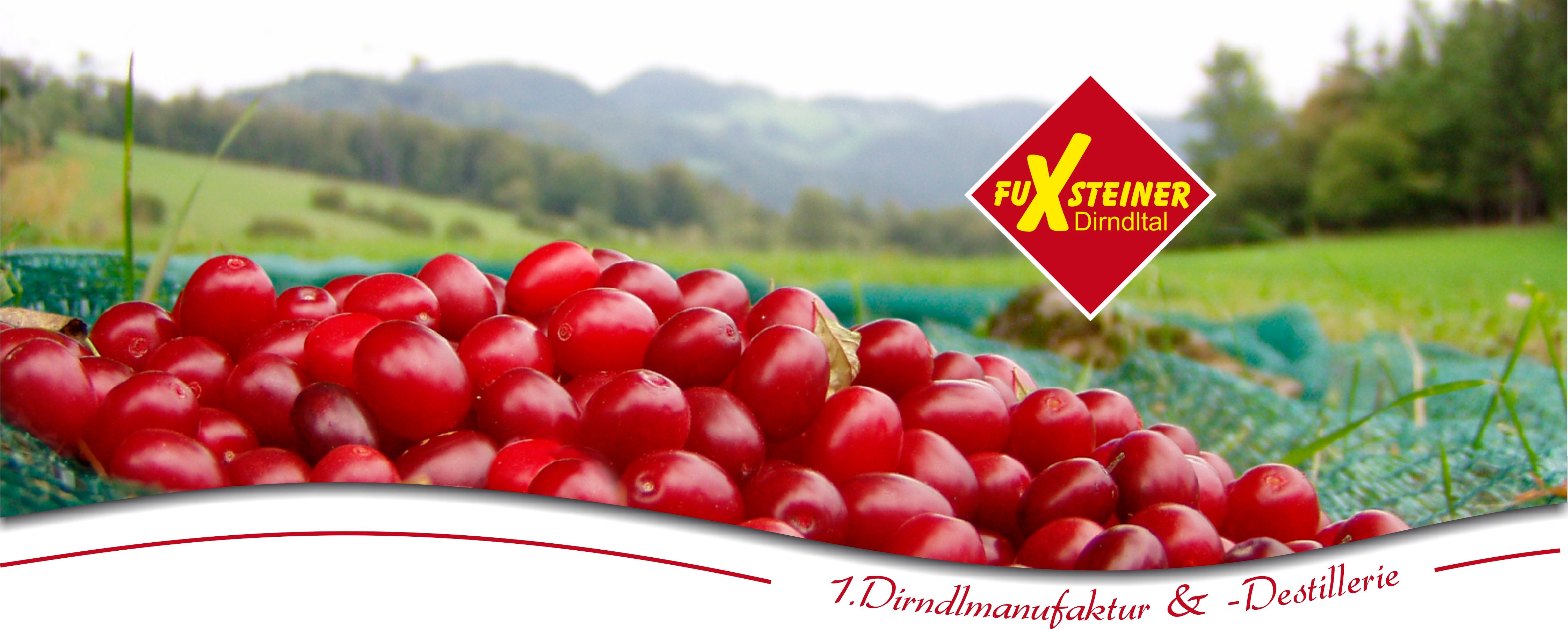 Red fruit on a field with the FuXsteiner Dirndltal brand logo.