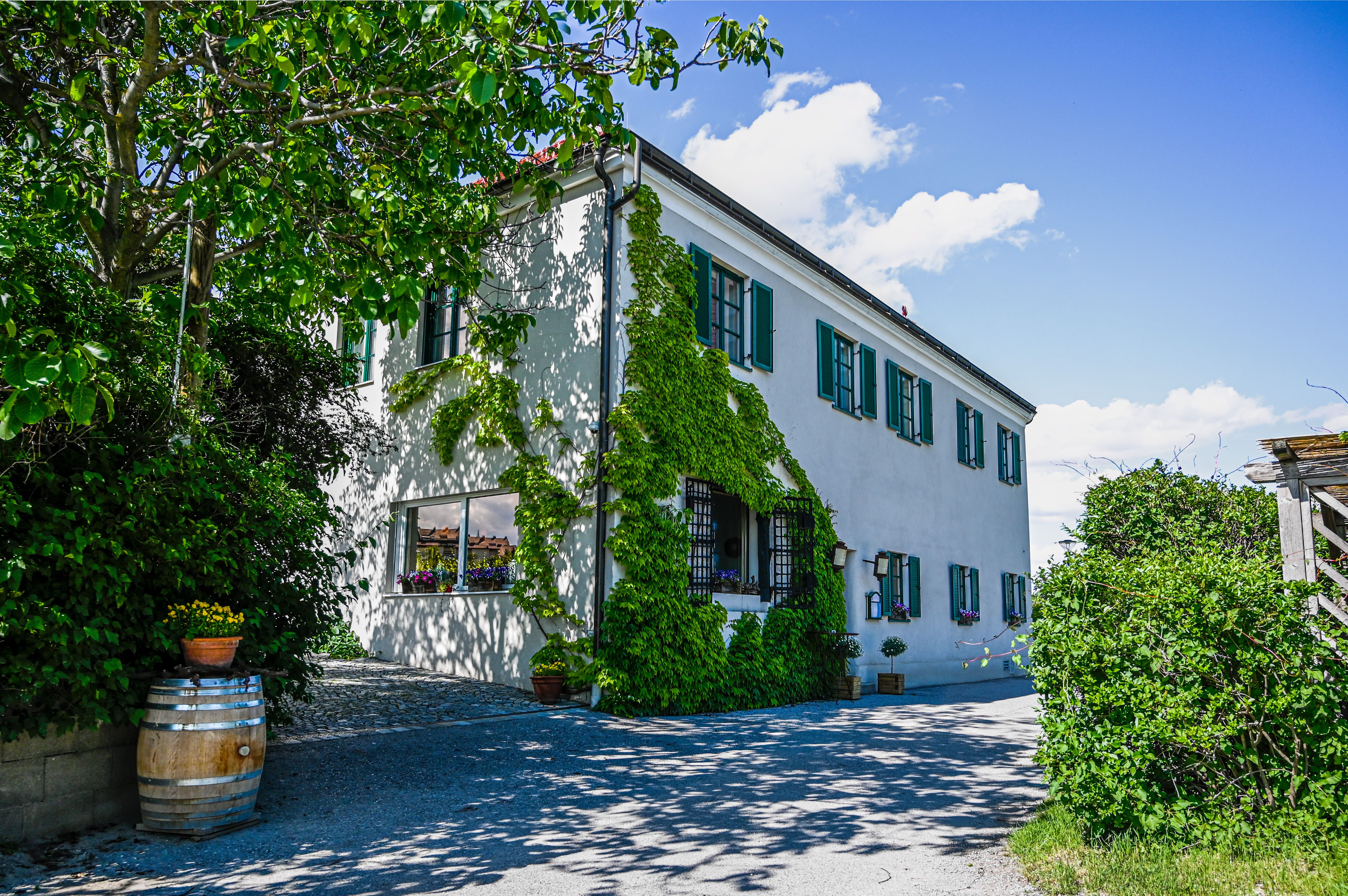Exterior view of a white house with green shutters and ivy on the façade.
