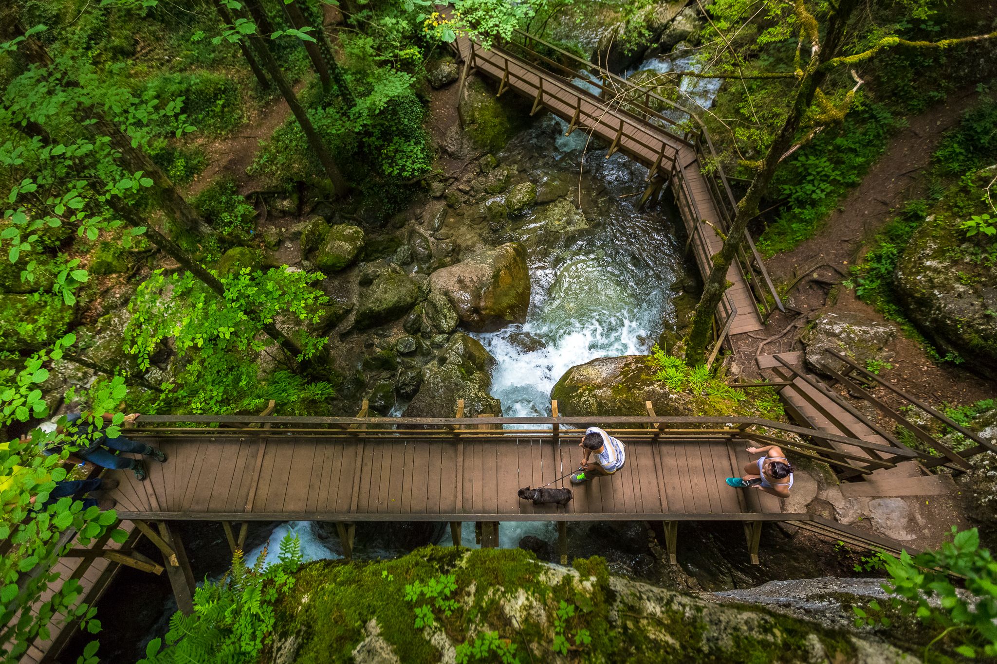 Wooden footbridges over a stream in a forest near the Myra Falls.